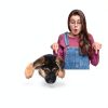 OUT Dog Attractant Spray Potty Training Aid Pet Supplies-6