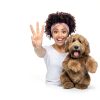 OUT Dog Attractant Spray Potty Training Aid Pet Supplies-4