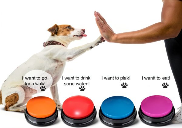 Dog Training Buttons Artist Unknown Record Interact Pets-2