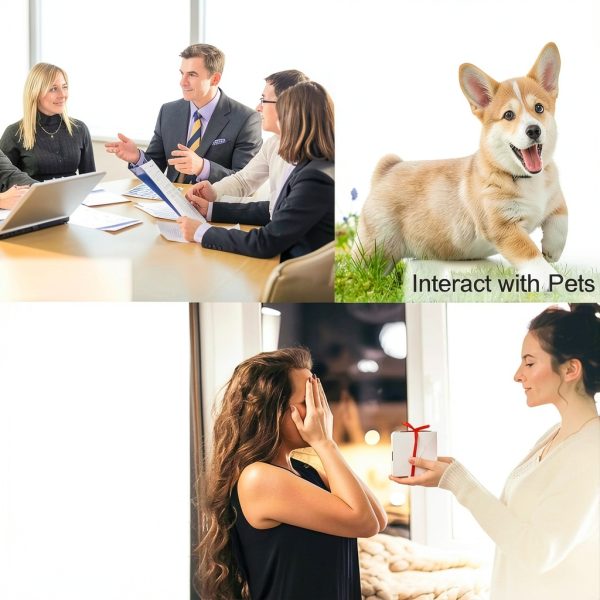 Dog Training Buttons Artist Unknown Record Interact Pets-4