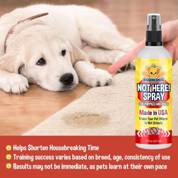 Bodhi Dog Not Here Spray Pet Training Repellent-1