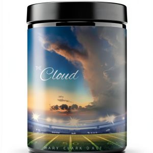 Teen Suicide Fiction eBook by Booklocker.com and Compassionate Story-0